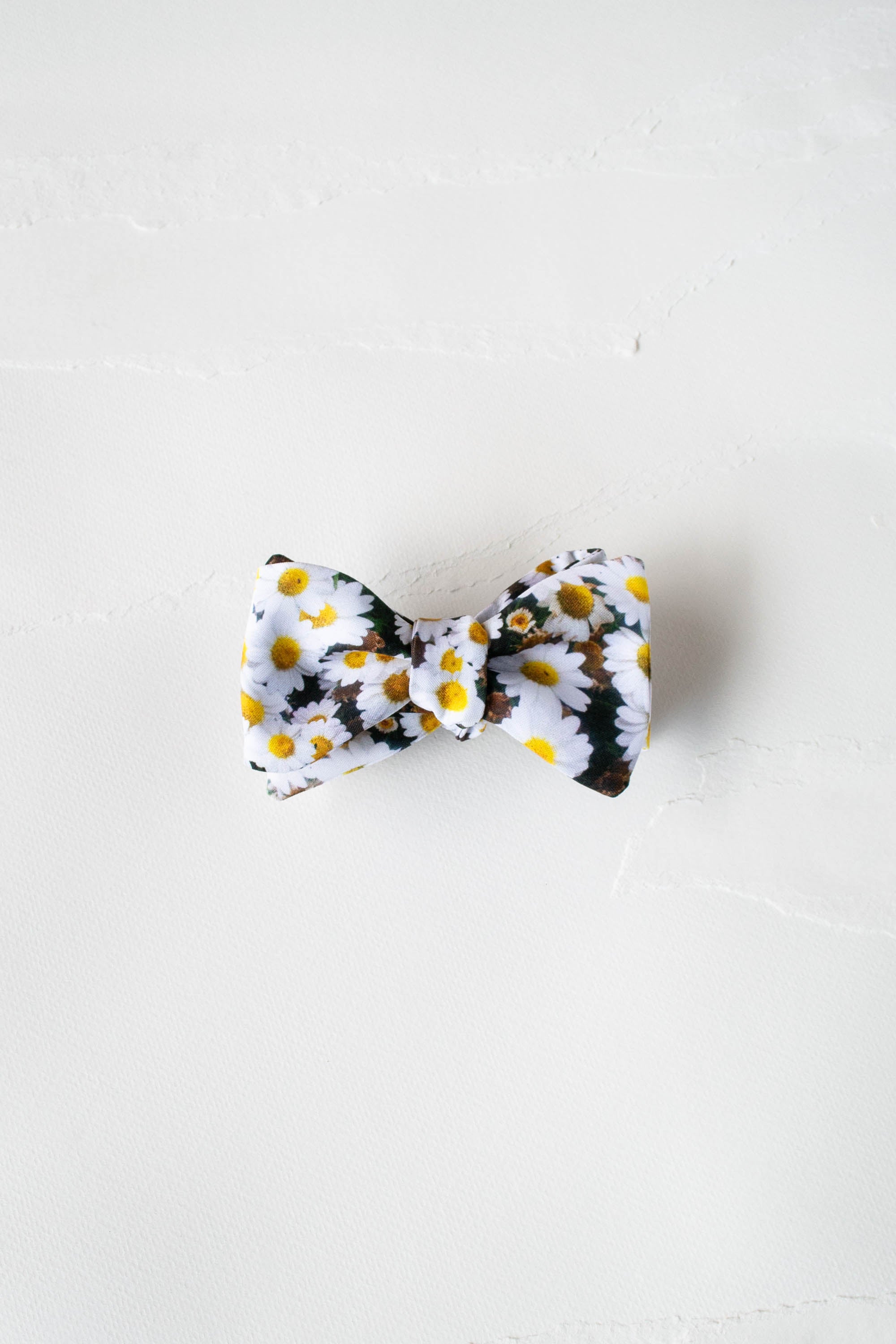 Hinagiku Bow Tie